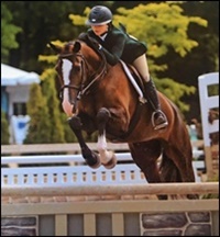 Alpines Phoebe