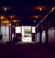 Big barn view to indoor