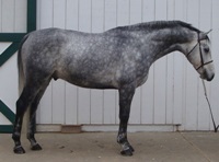 Cassius