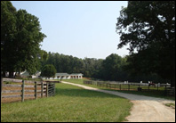 Barns