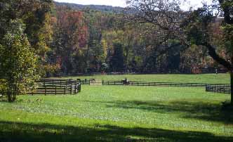 Hidden Hill Farm