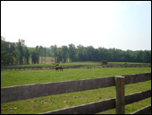 Hidden Hill Farm