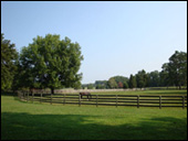 Pastures